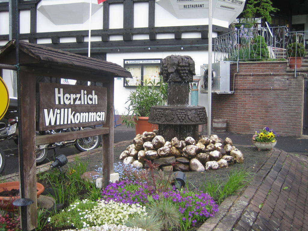 Landhotel Weinhaus Treis Weinähr المظهر الخارجي الصورة