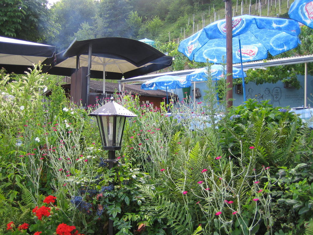 Landhotel Weinhaus Treis Weinähr المظهر الخارجي الصورة