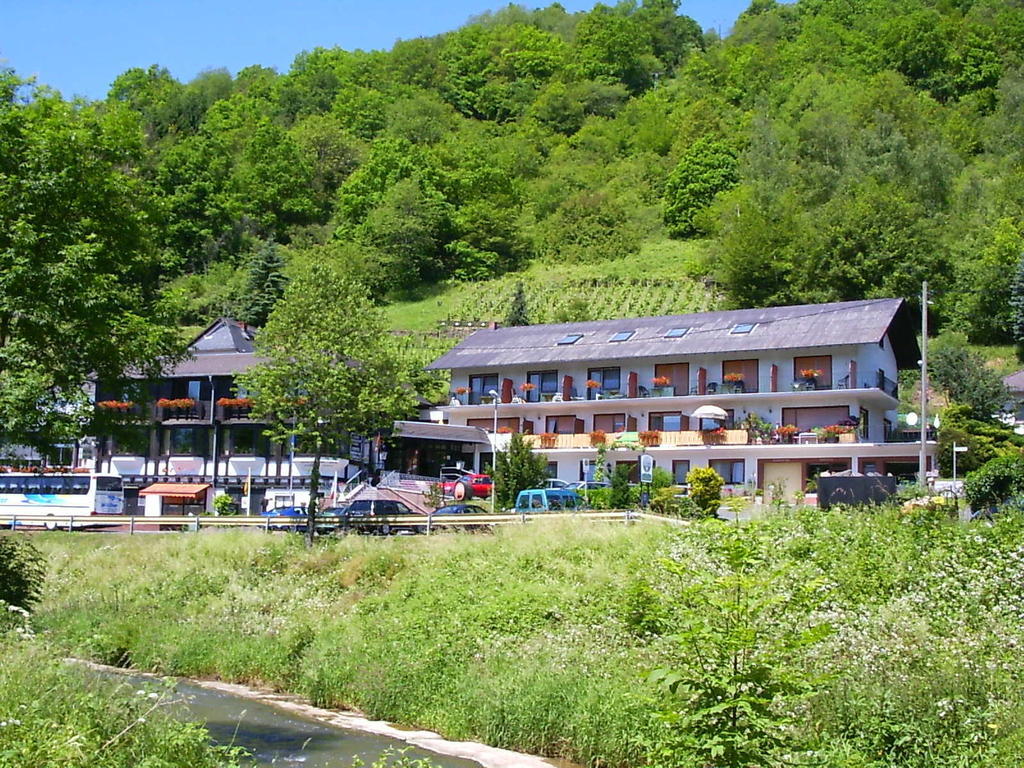 Landhotel Weinhaus Treis Weinähr المظهر الخارجي الصورة